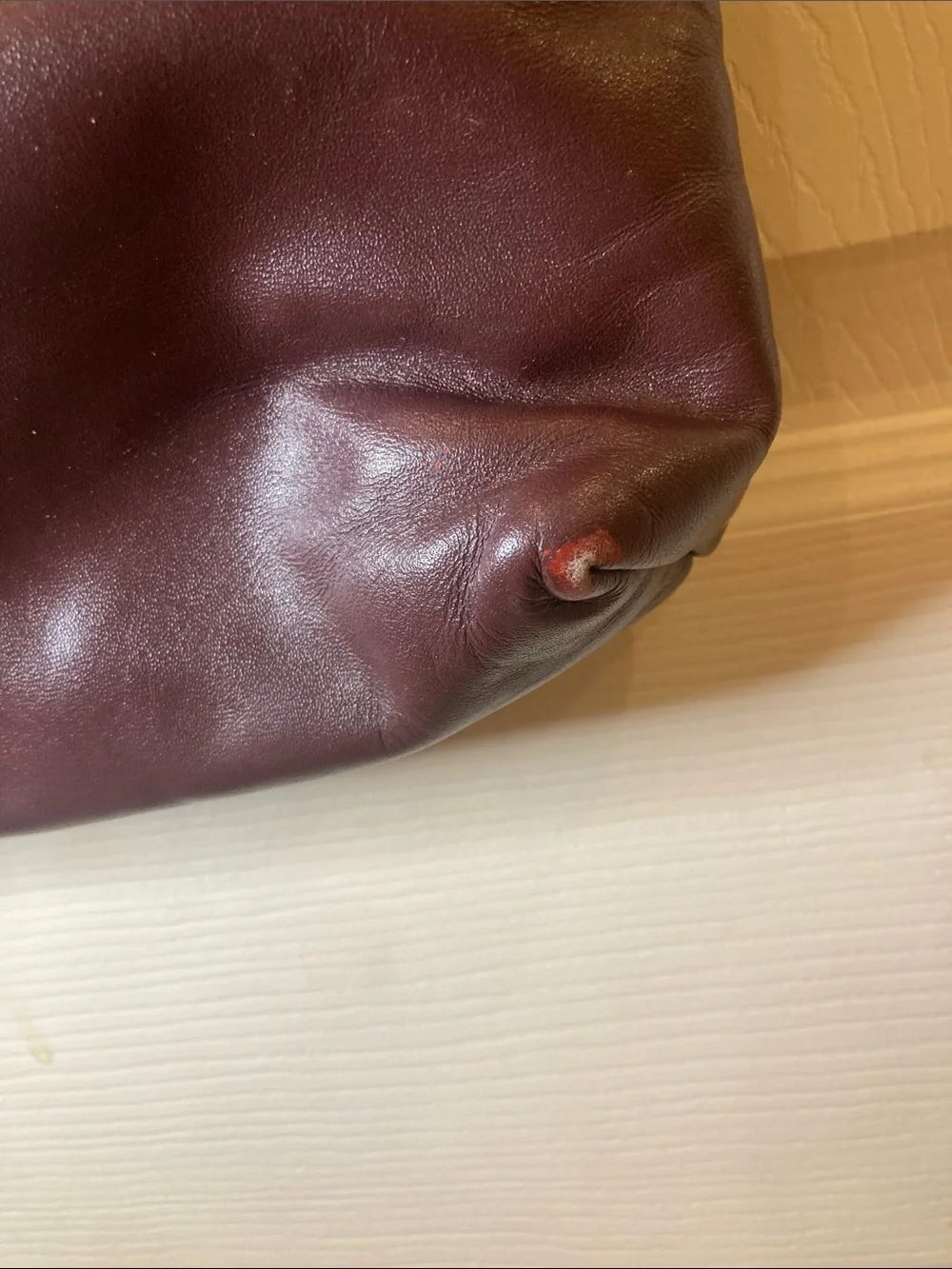 Etienne Aigner Burgundy Leather Shoulder Bag
